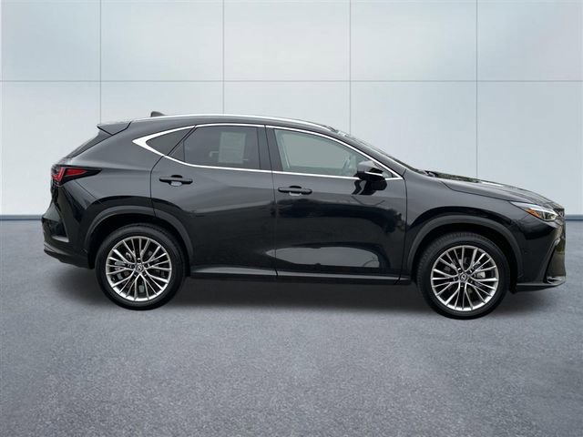 Used 2026 Lexus NX 350 AWD w/ Accessory Package (2T) image 5