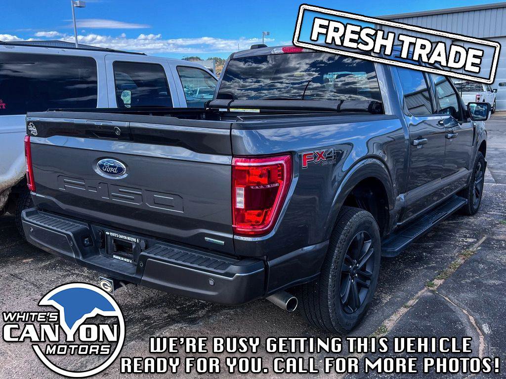 Used 2023 Ford F150 XLT w/ Equipment Group 302A High image 2