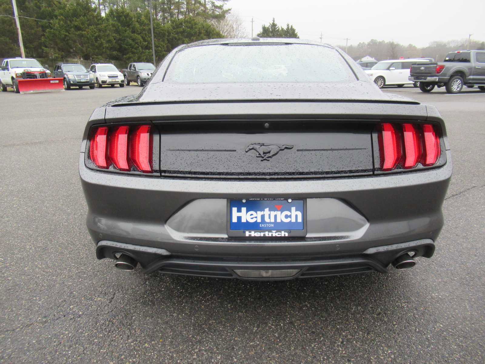 Used 2018 Ford Mustang EcoBoost w/ Equipment Group 101A image 6