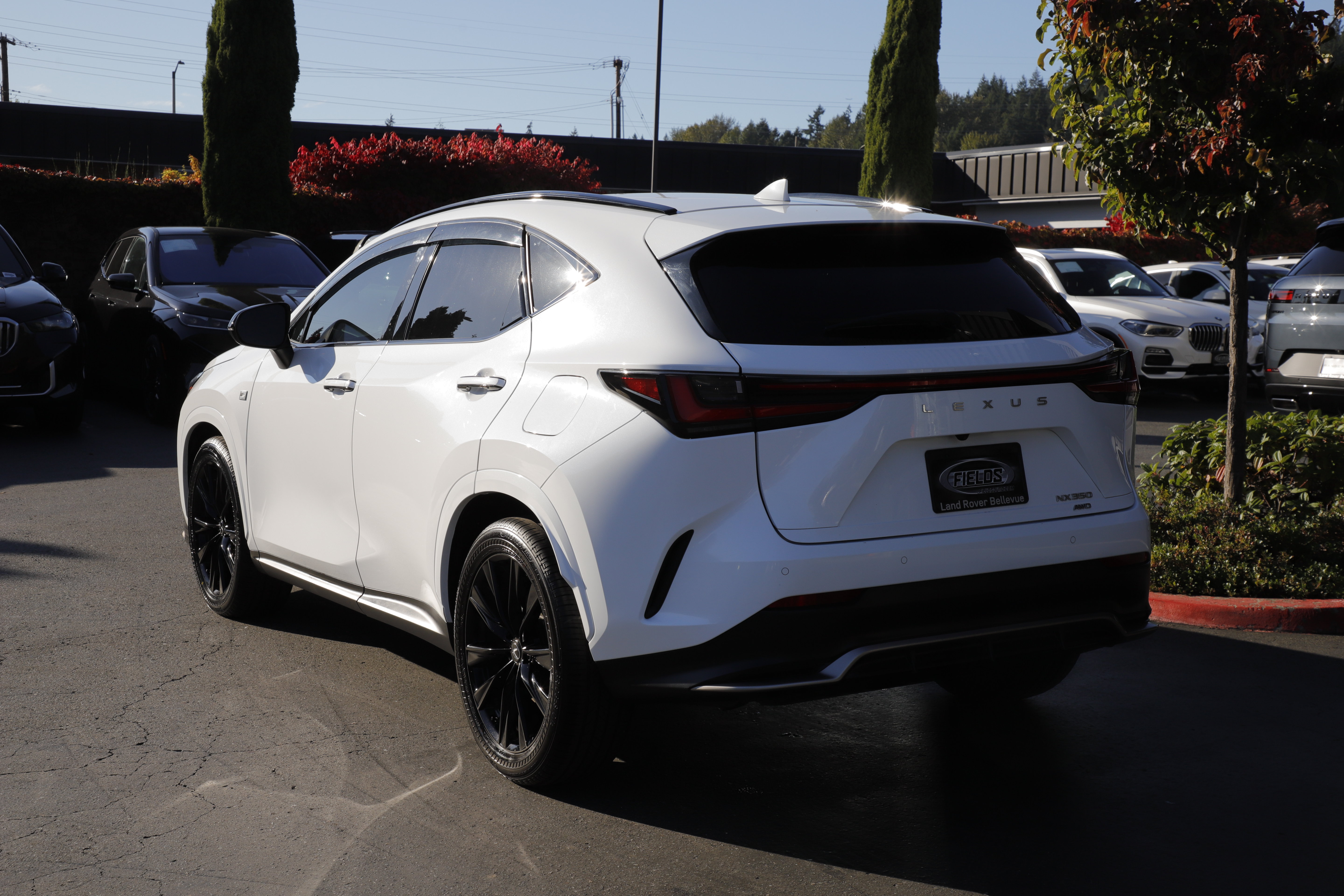 Used 2025 Lexus NX 350 F Sport w/ Accessory Package (2T) AWD/4WD image 4