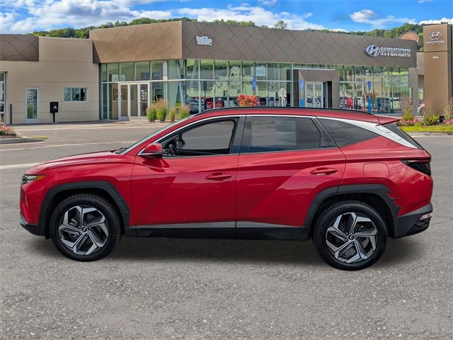 Certified 2022 Hyundai Tucson Limited image 6