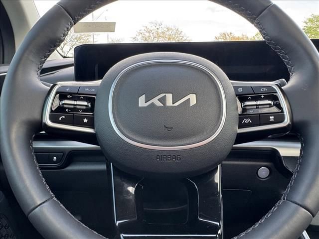 Certified 2025 Kia Carnival SX Prestige image 14