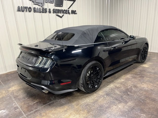 Used 2019 Ford Mustang Premium w/ Equipment Group 201A image 9