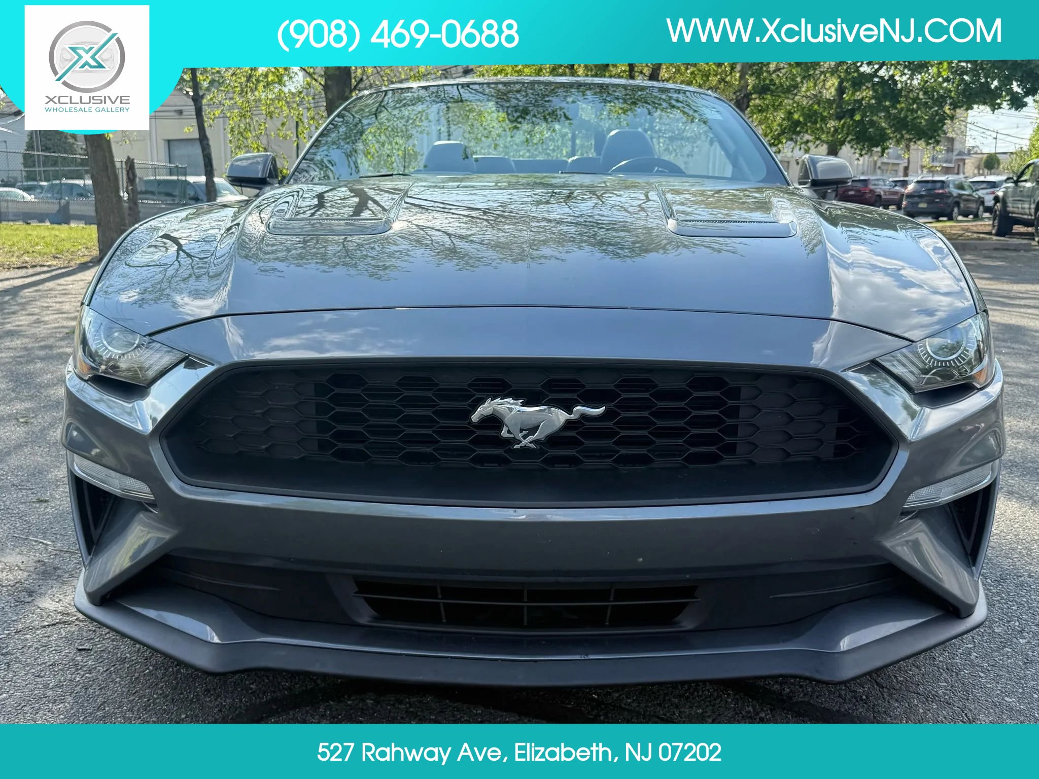 Used 2022 Ford Mustang Premium w/ Equipment Group 201A image 12