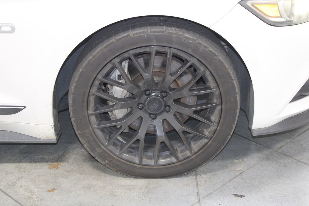 Used 2017 Ford Mustang GT Premium w/ Equipment Group 401A image 13