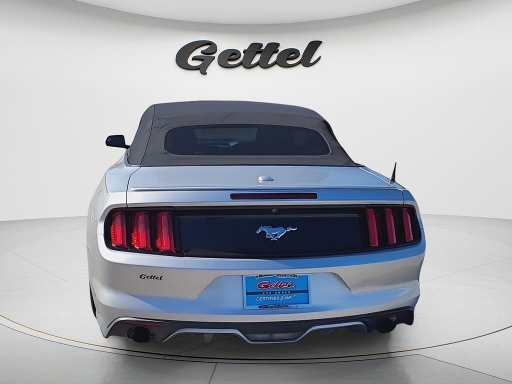 Used 2017 Ford Mustang Premium image 4