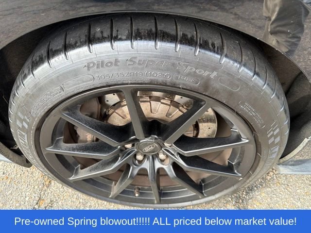 Used 2016 Ford Mustang Shelby GT350 w/ Technology Package RWD image 12