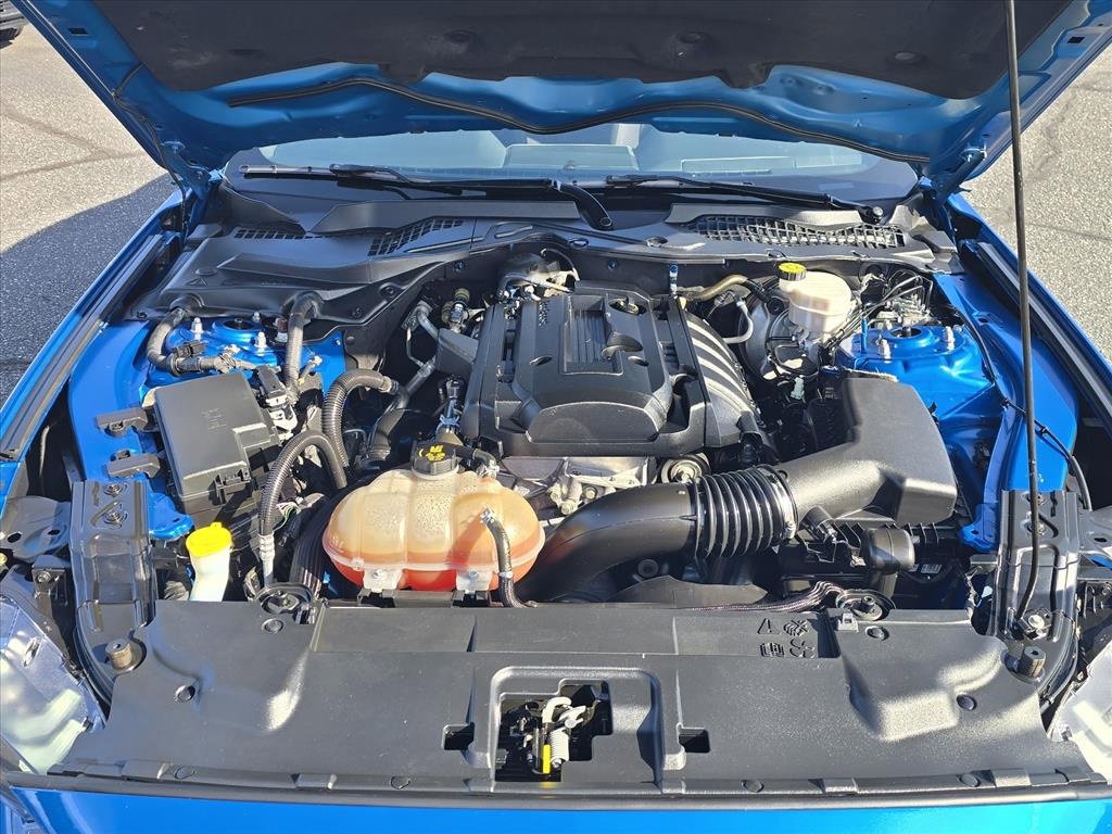 Used 2019 Ford Mustang EcoBoost w/ Equipment Group 101A image 27