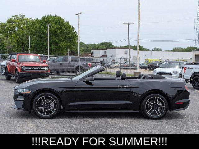 Used 2023 Ford Mustang Premium RWD image 6