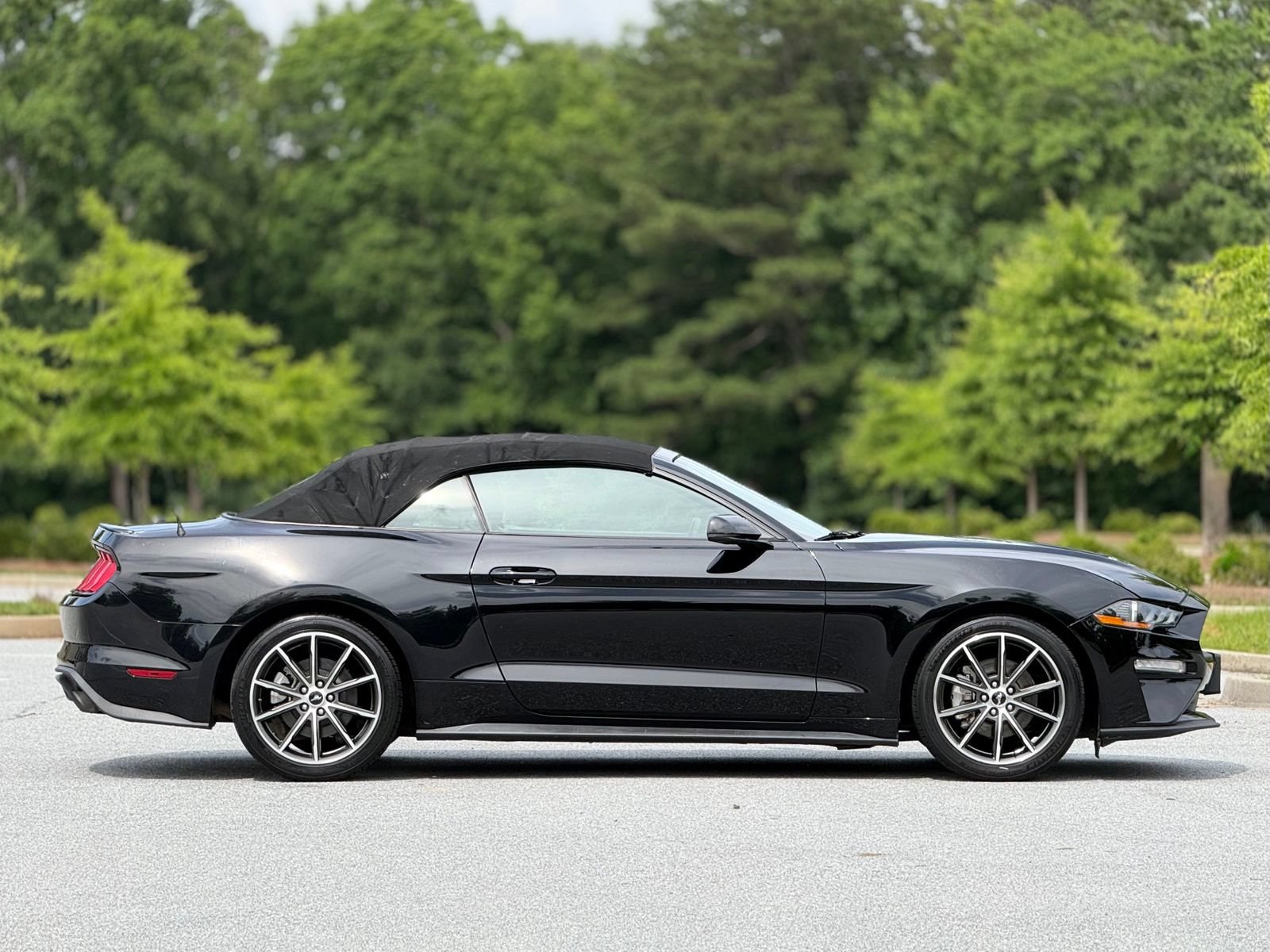 Used 2019 Ford Mustang Premium w/ Equipment Group 201A RWD image 12