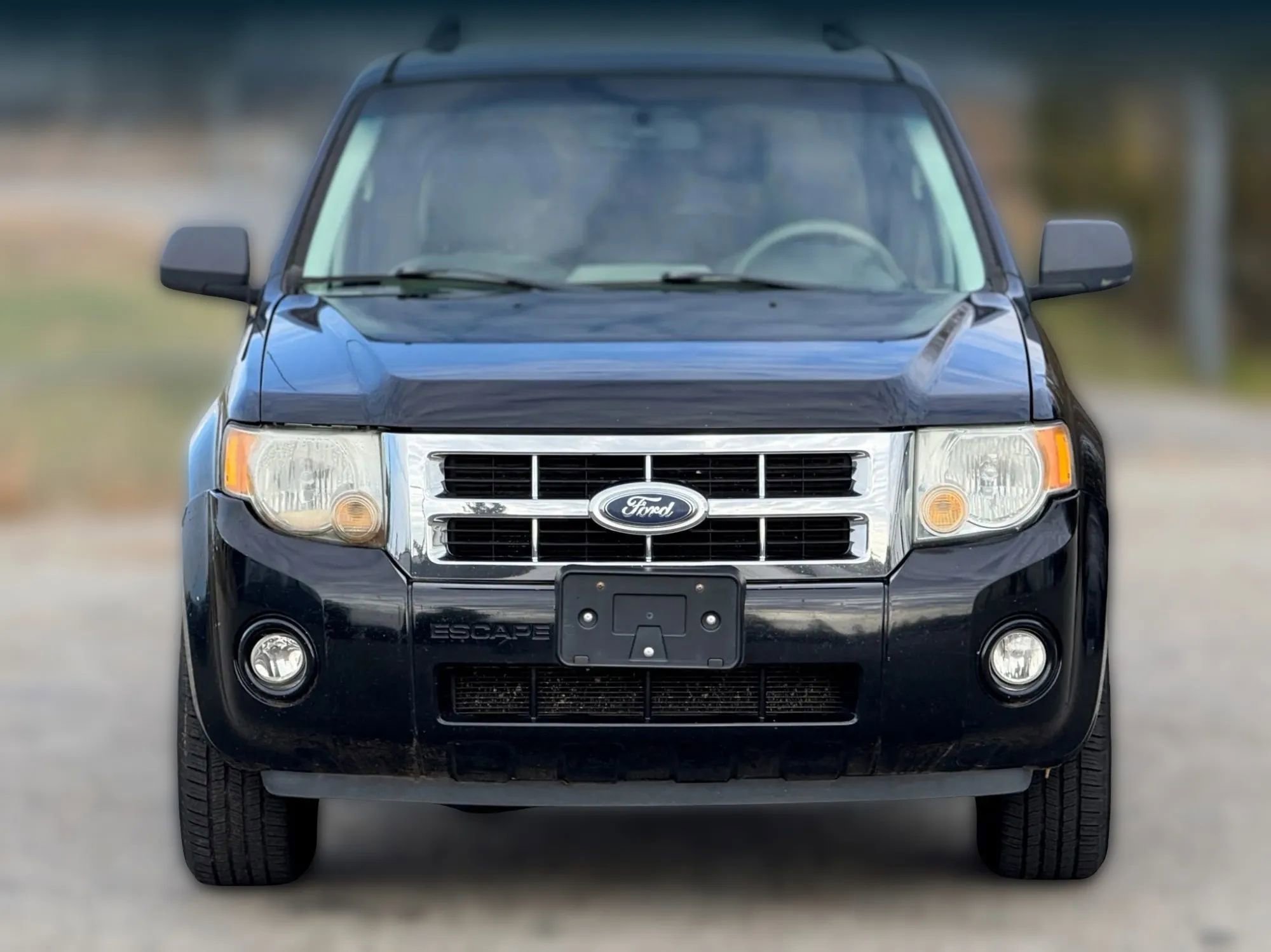 Used 2008 Ford Escape XLT image 5
