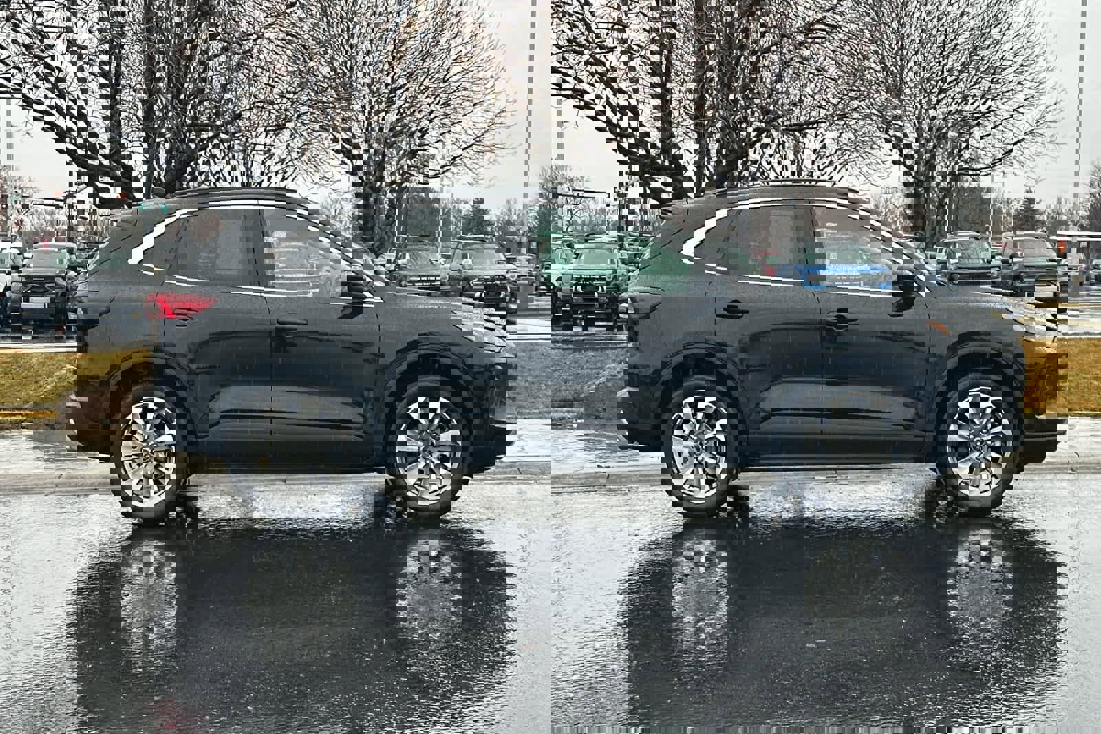 Certified 2025 Ford Escape Platinum image 8