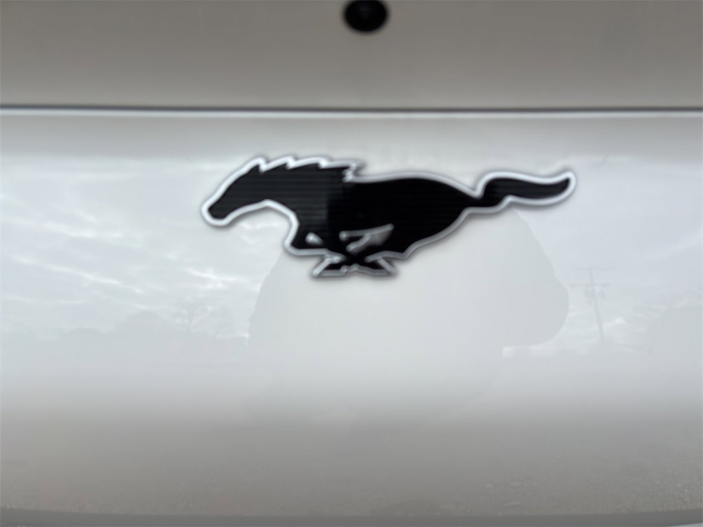 New 2025 Ford Mustang Mach-E Premium image 9