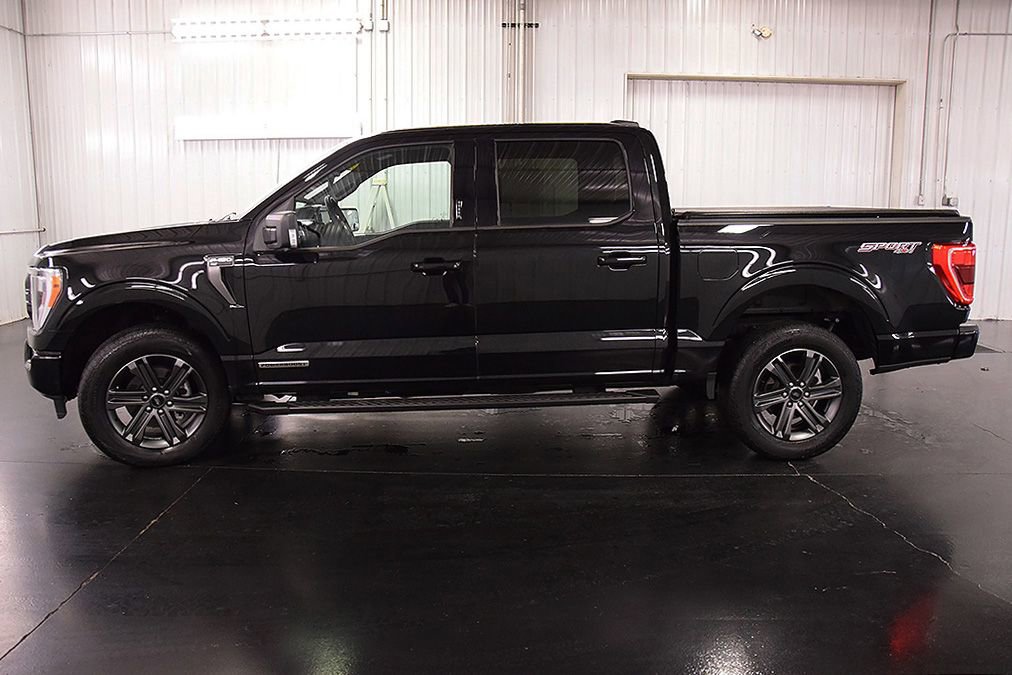 Used 2023 Ford F150 XLT w/ Equipment Group 302A High AWD/4WD image 4