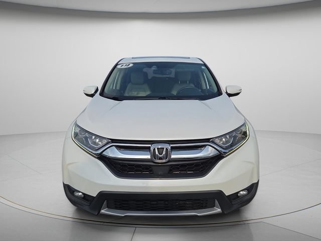 Used 2019 Honda CR-V EX-L image 4