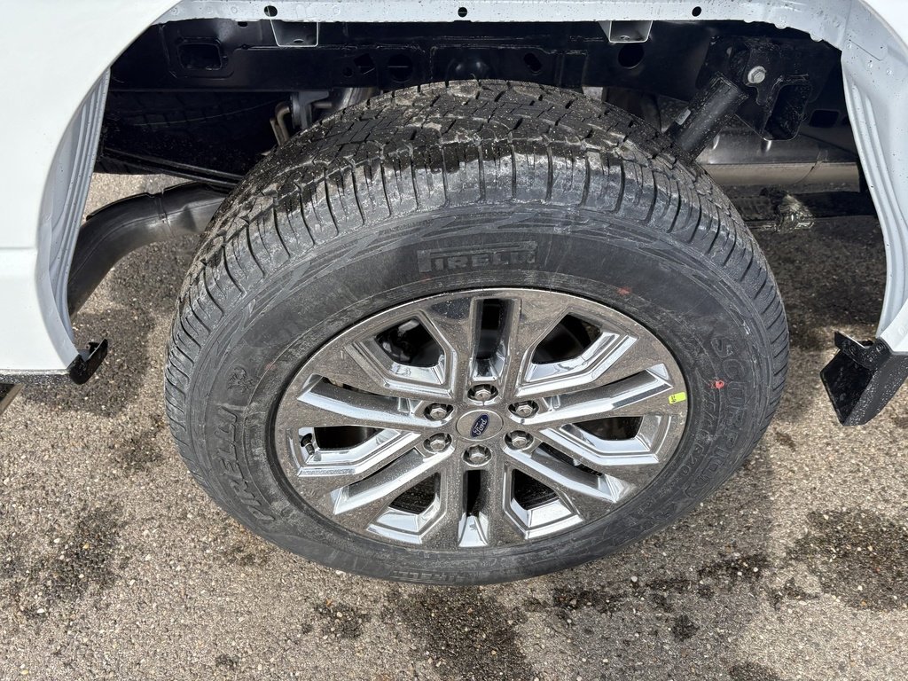 New 2026 Ford F150 XLT image 12