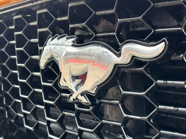 New 2026 Ford Mustang GT Premium image 16