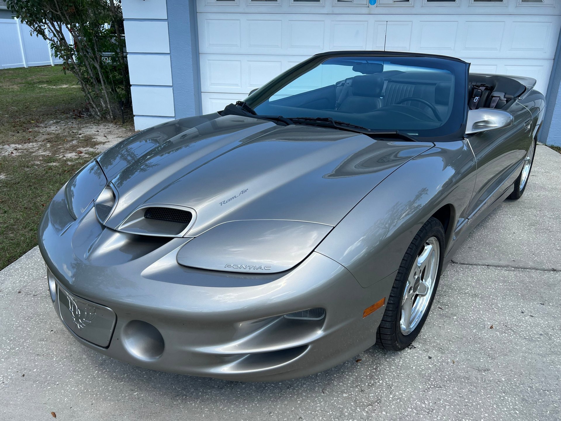 Used 2000 Pontiac Firebird Trans Am image 5