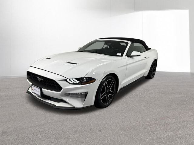Used 2019 Ford Mustang Premium RWD image 2