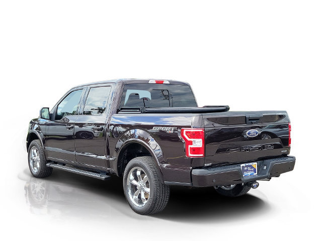 Certified 2019 Ford F150 XLT w/ Equipment Group 302A Luxury AWD/4WD image 5