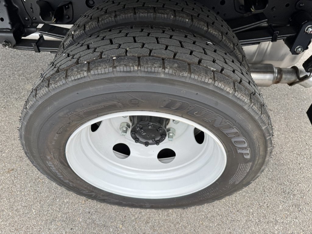 New 2025 Chevrolet Low Cab Forward RWD image 7