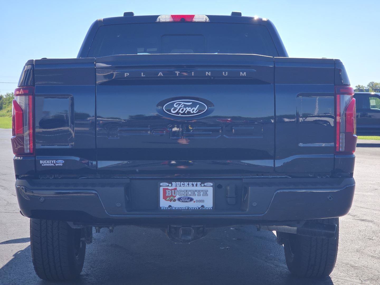 Used 2025 Ford F150 Platinum AWD/4WD image 18