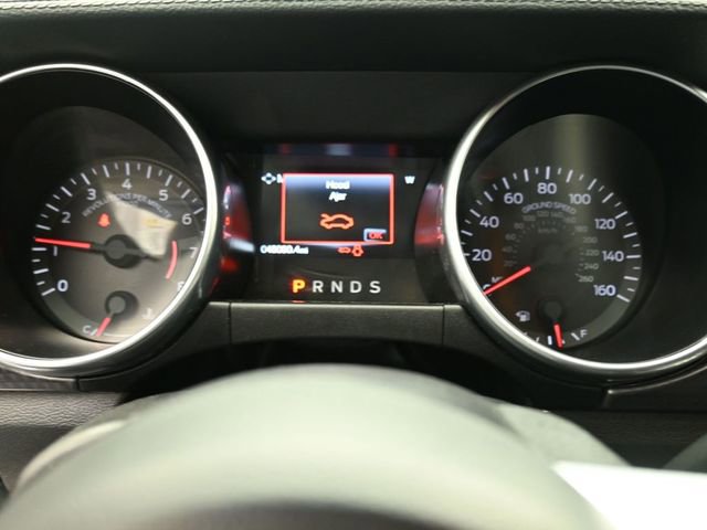 Used 2019 Ford Mustang Coupe w/ Ecoboost Performance Package image 10