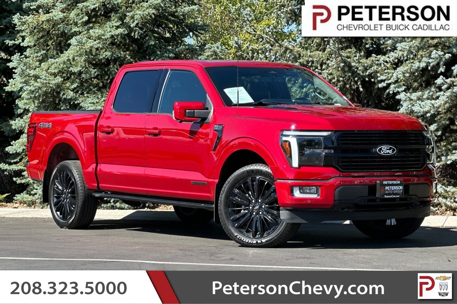 Used 2024 Ford F150 Platinum