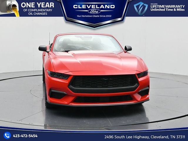 New 2026 Ford Mustang Convertible w/ Mustang Nite Pony Package RWD image 5