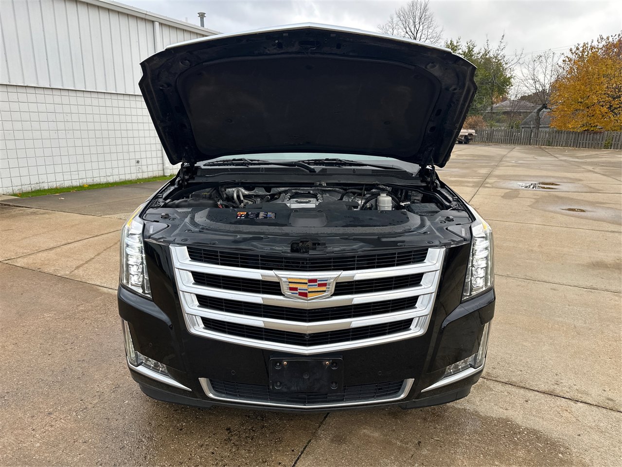 Used 2016 Cadillac Escalade ESV Luxury image 11