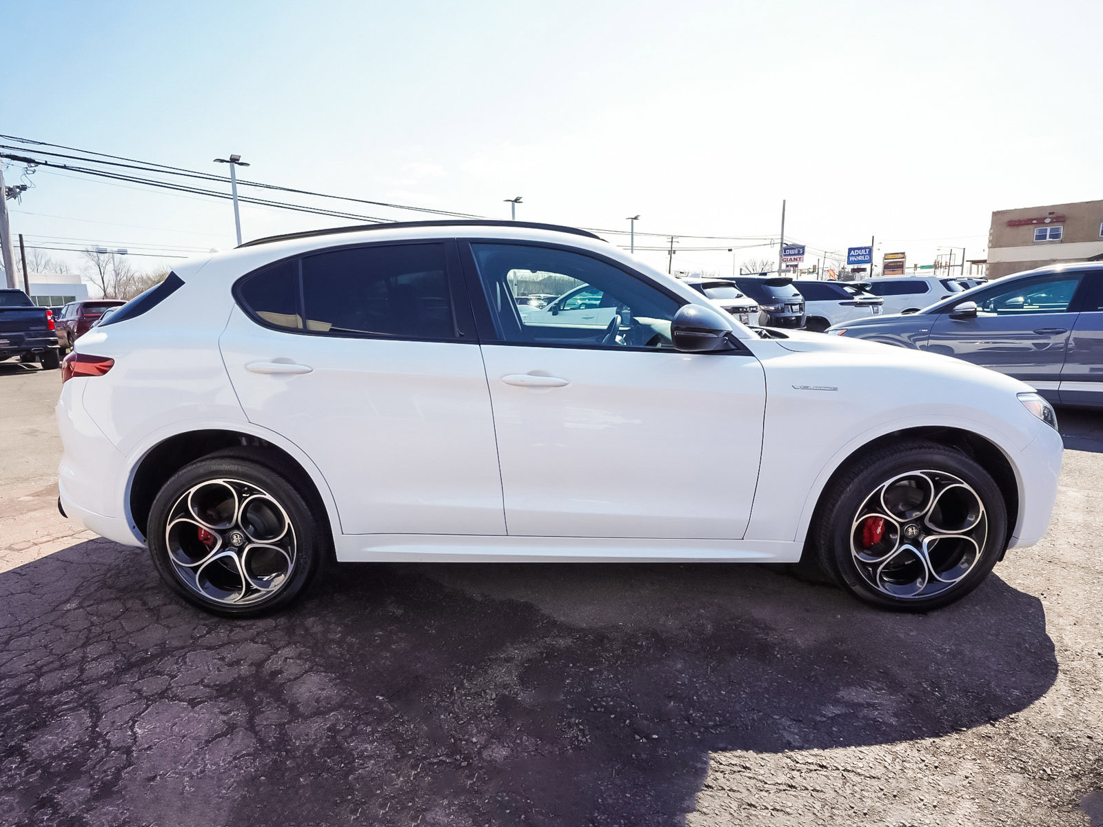 Used 2023 Alfa Romeo Stelvio Veloce image 50
