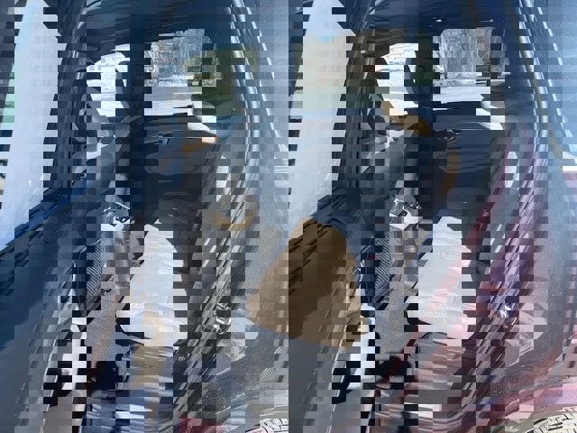 New 2026 Volvo XC90 T8 Ultra w/ Protection Package Premier image 6