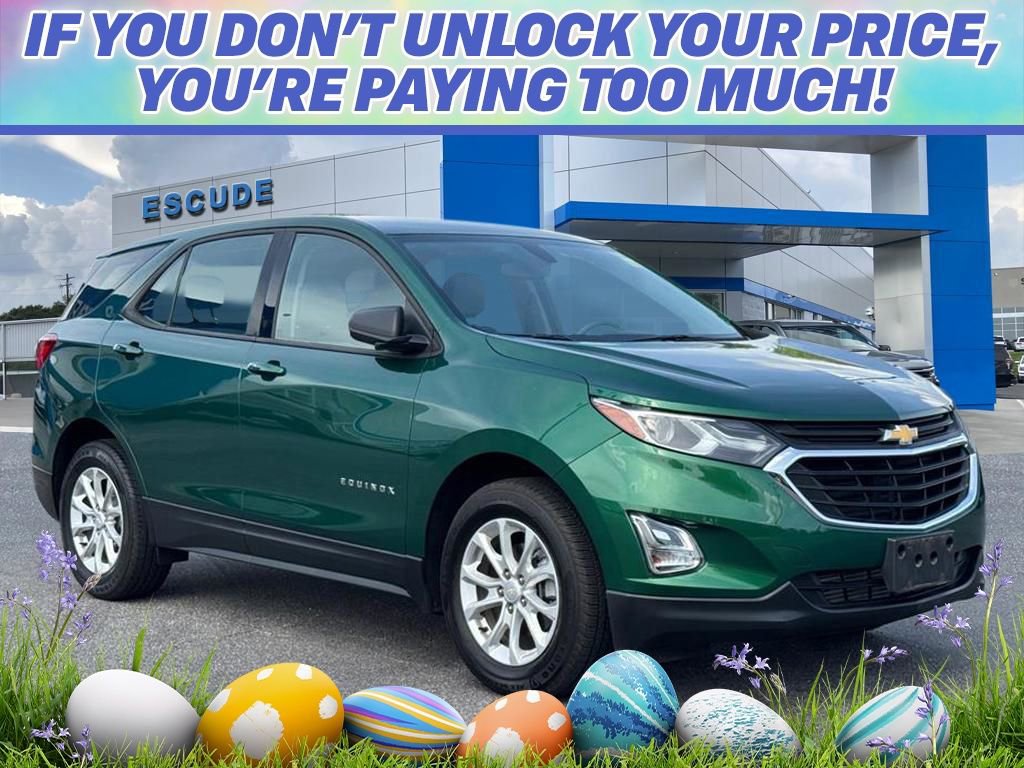 Used 2019 Chevrolet Equinox LS image 1