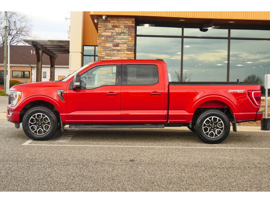 Used 2023 Ford F150 XLT w/ Equipment Group 302A High AWD/4WD image 6