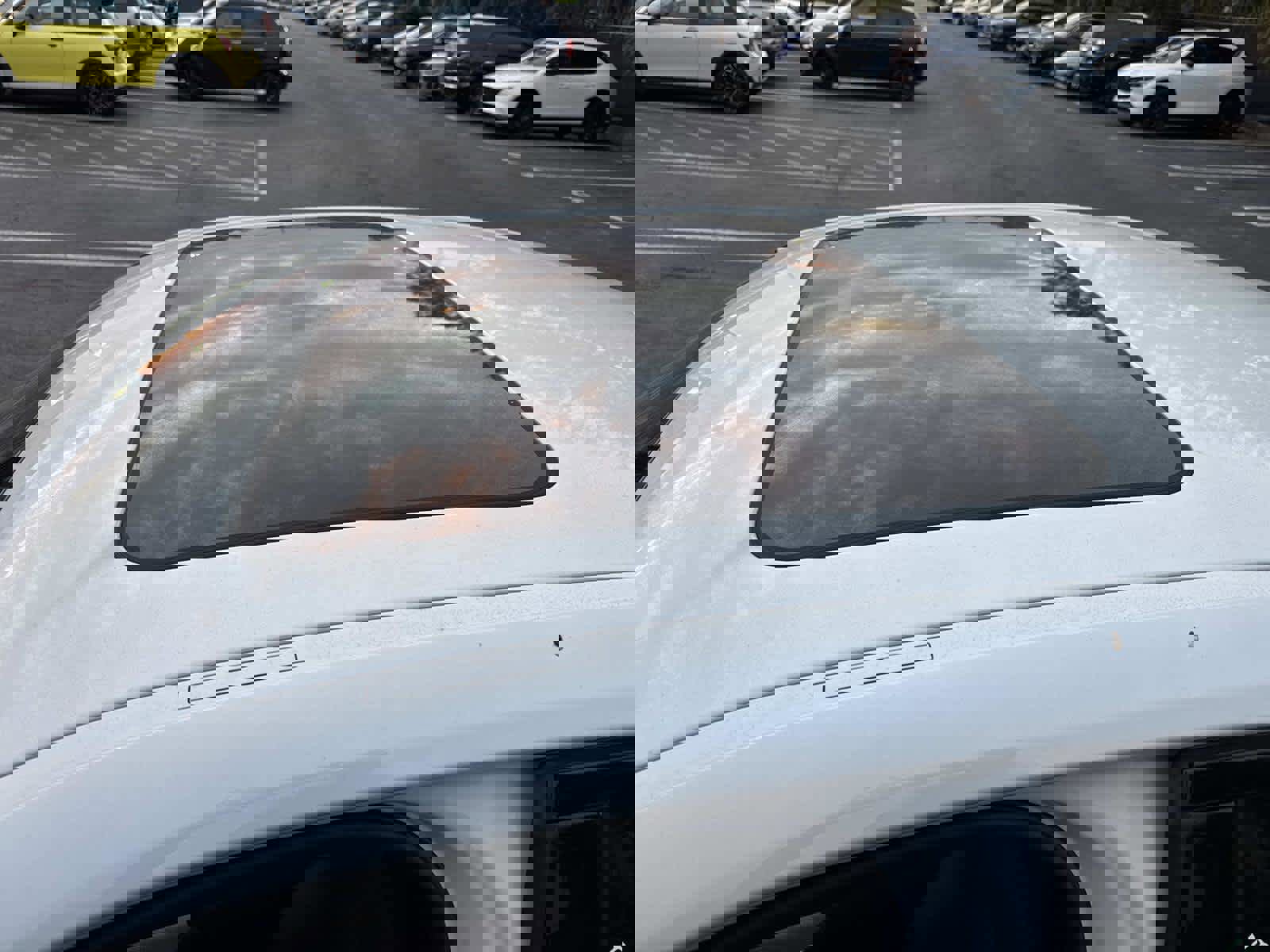 New 2025 BMW 330i xDrive 330i xDrive w/ M Sport Package image 32