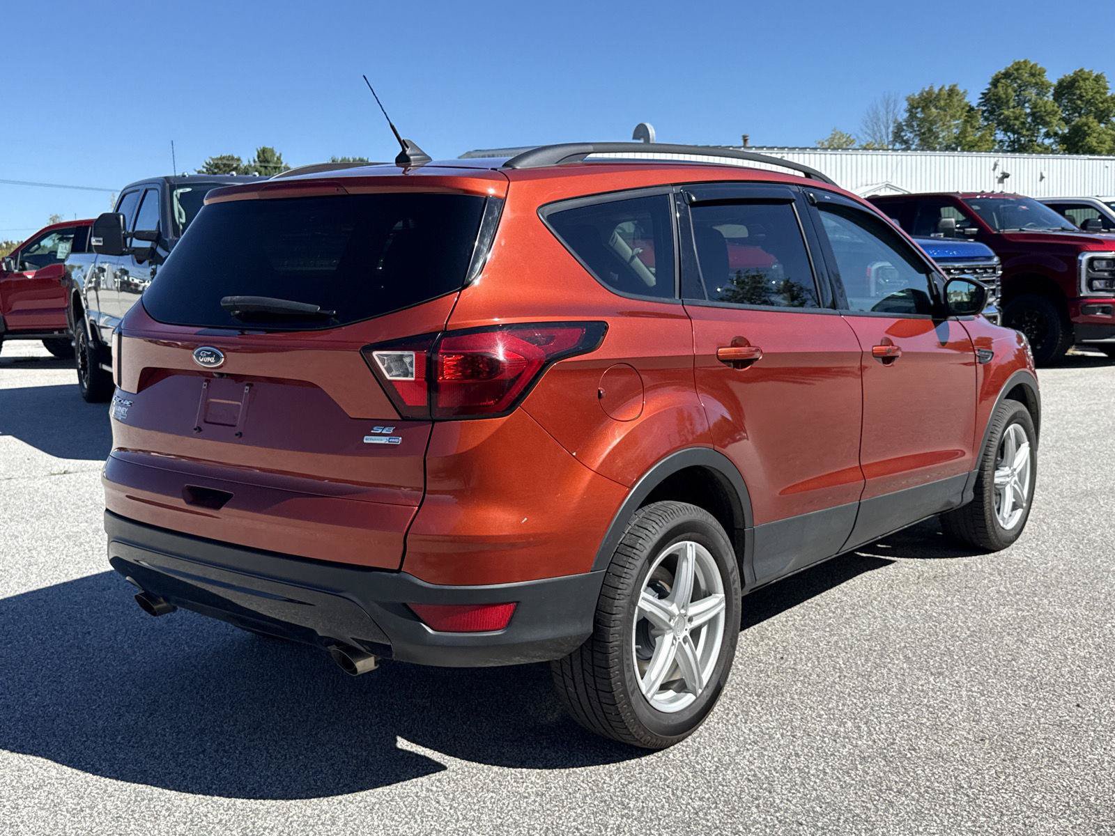 Used 2019 Ford Escape SE AWD/4WD image 8