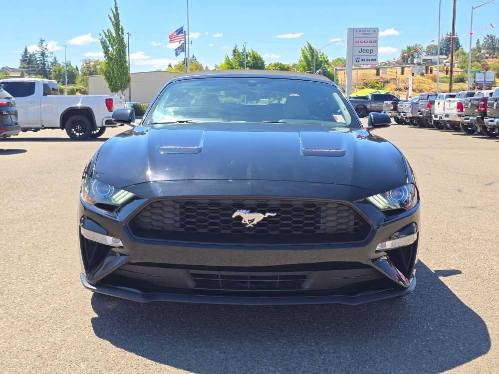 Used 2019 Ford Mustang Premium RWD image 8