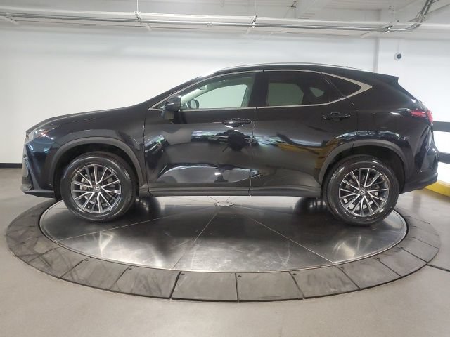 Used 2023 Lexus NX 350 AWD image 5