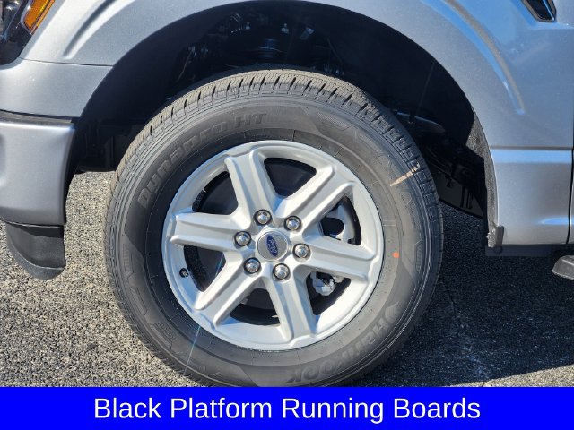New 2026 Ford F150 XLT w/ Equipment Group 301A Standard RWD image 10