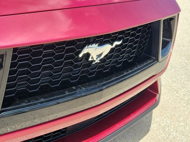Certified 2025 Ford Mustang GT Premium RWD image 7