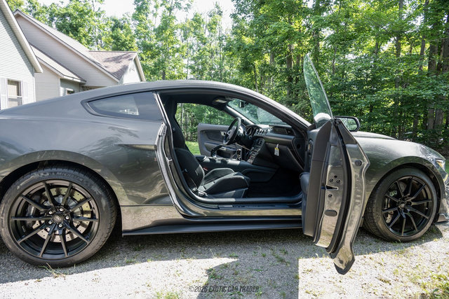 Used 2015 Ford Mustang Shelby GT350 RWD image 41