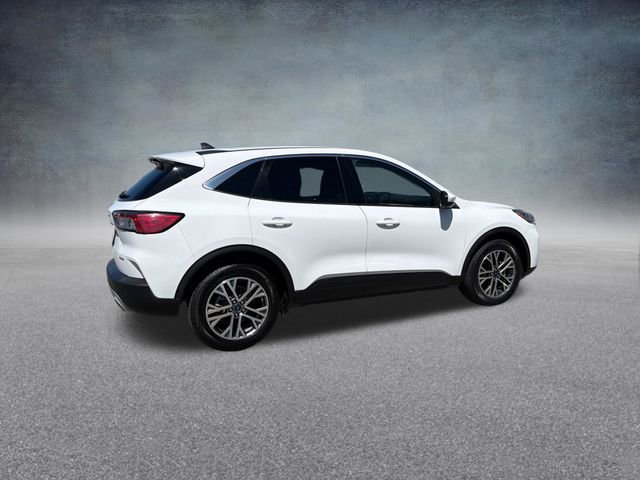 Used 2022 Ford Escape SEL AWD/4WD image 4