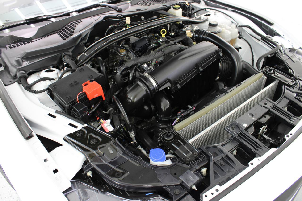 Used 2025 Ford Mustang Premium RWD image 79