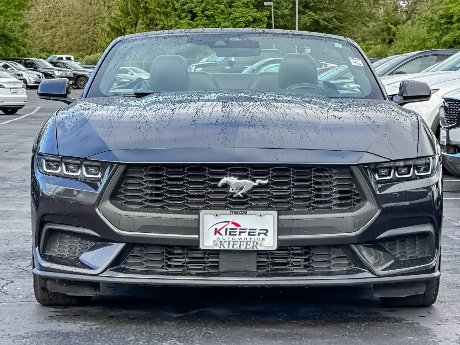 Used 2024 Ford Mustang Premium RWD image 8
