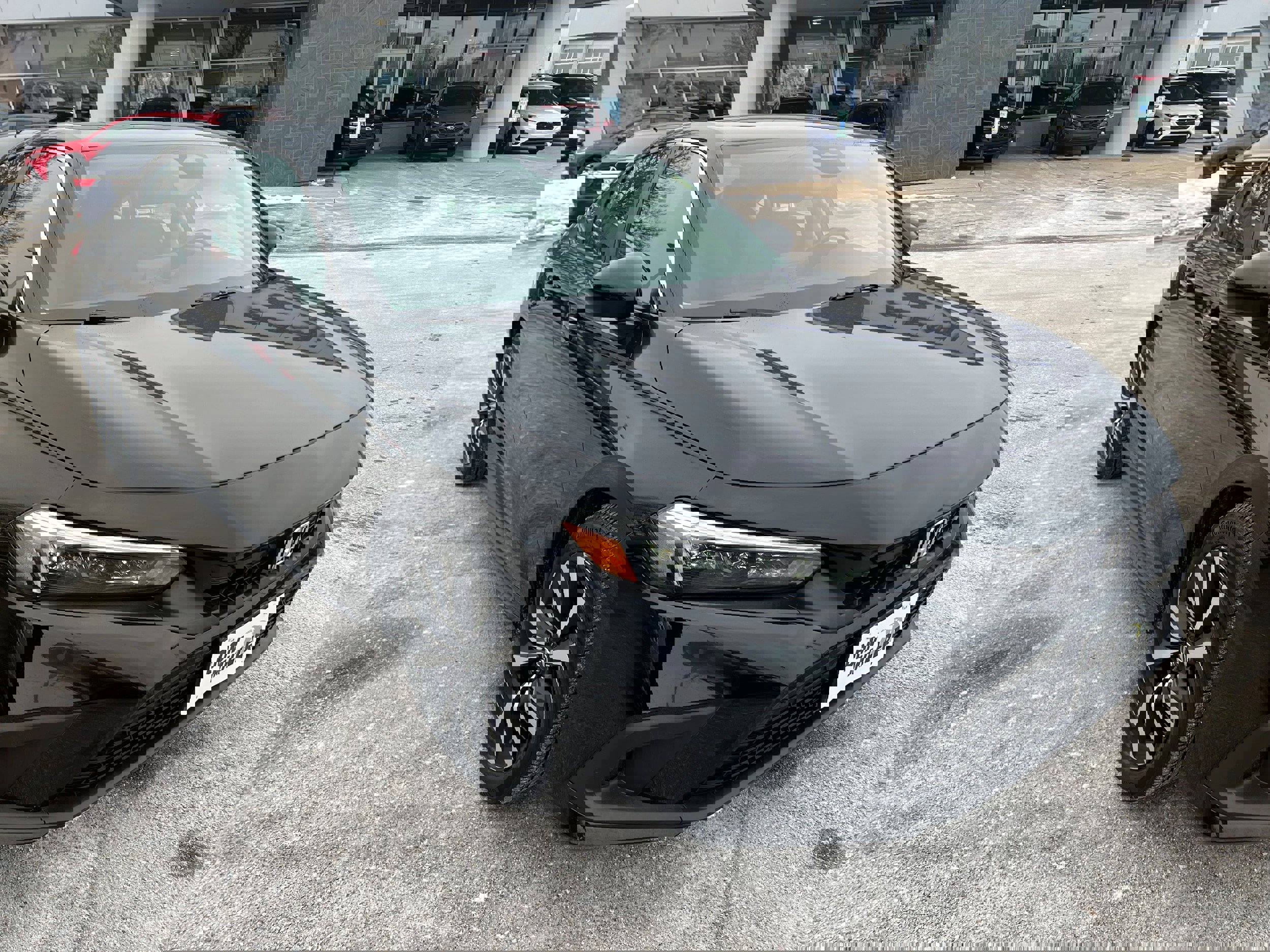 Used 2024 Honda Civic EX-L