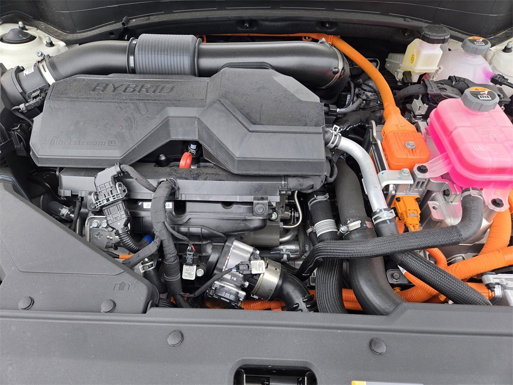 New 2025 Kia Sportage EX image 20