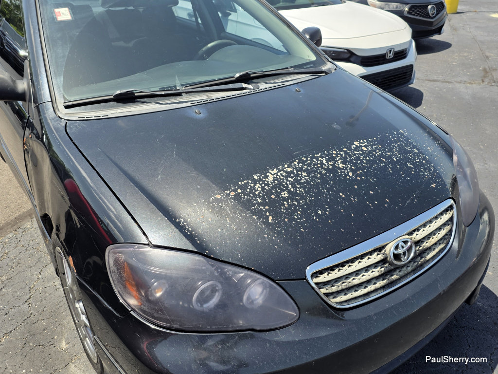 Used 2008 Toyota Corolla S w/ Extra Value Pkg 1 FWD image 7