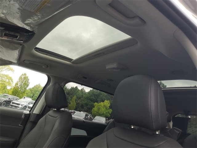 New 2026 Kia Carnival SX image 15