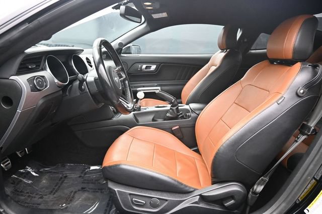 Used 2019 Ford Mustang GT Premium w/ Black Accent Package RWD image 13