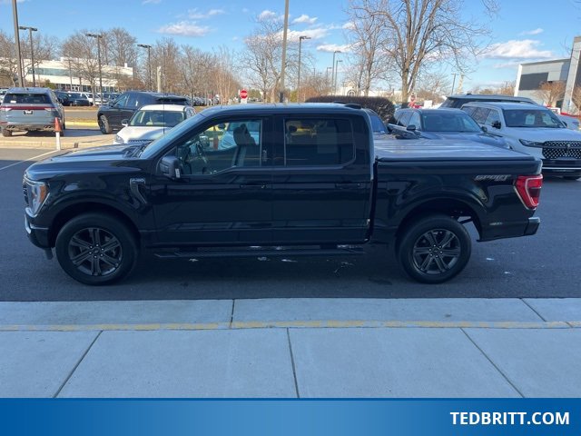 Used 2023 Ford F150 XLT w/ Equipment Group 302A High image 4